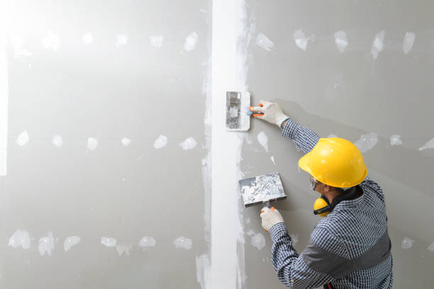 Best Comprehensive Air Testing for Mold Contaminants  in Graymoor Devondale, KY