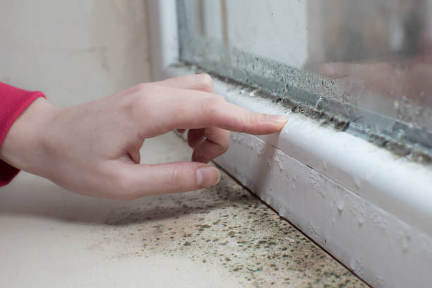 Best Airborne Mold Testing  in Graymoor Devondale, KY
