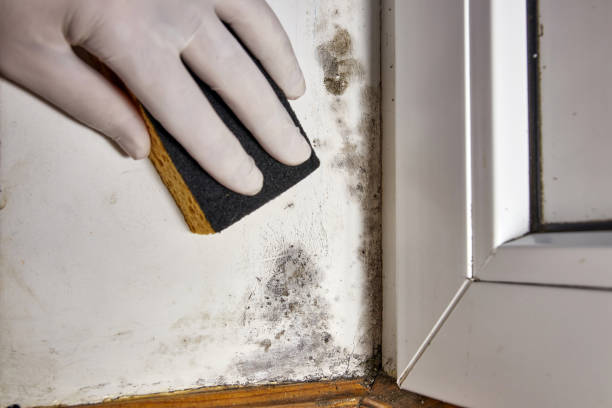 Best Mold Removal for HVAC Installations  in Graymoor Devondale, KY